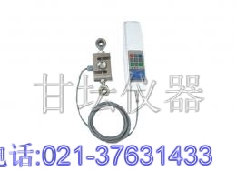 300kg多功能測力計,三百公斤數顯測力計企業